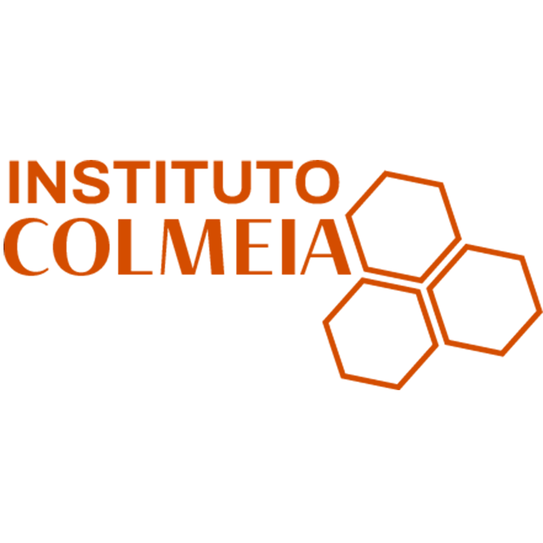 Inst. Colmeia - Logo Laranja